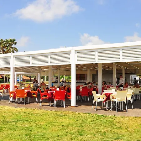 Side Win & Evrenseki